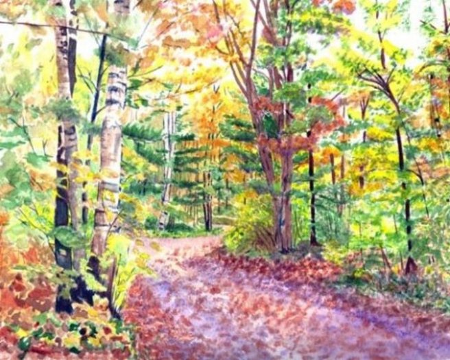Autumn Woods
