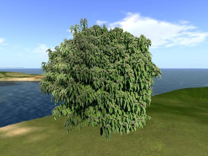 Arkads 1 Prim Peanut Butter Shrub