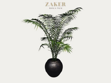 ZAKER : Bianca Palm