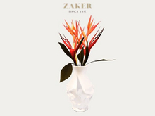 ZAKER : Bianca Vase