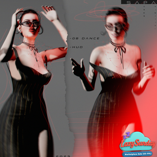 SAPA dance 303