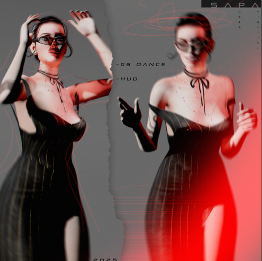 SAPA dance 303