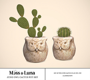 Moss & Luna- Juno Owl Cactus Pot Set (add)