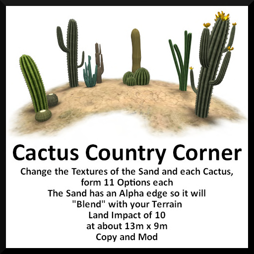 Cactus Country Corner