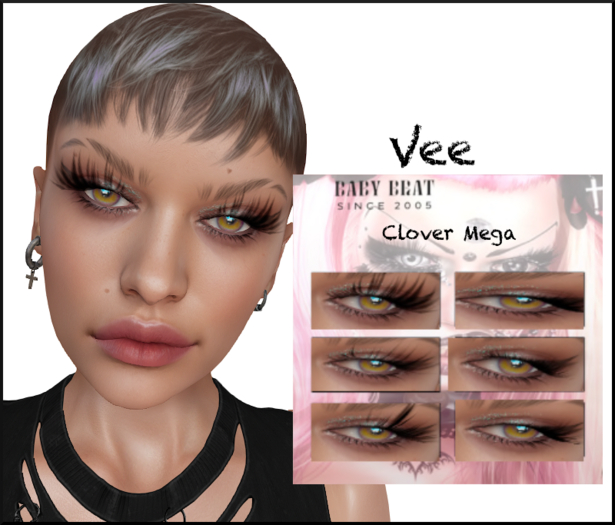 BB-Vee-CM