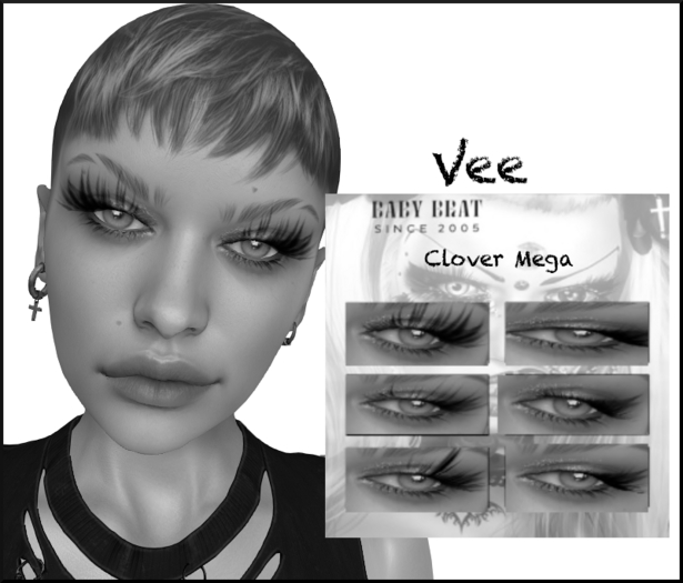 BB-Veedemo
