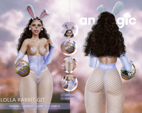 Analogic - Lolla Rabbit GIFT