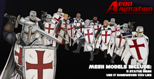 Templar knight medieval