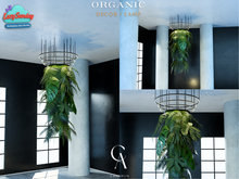 Organic Decor Lamp - CANARUN - (Rezzme)