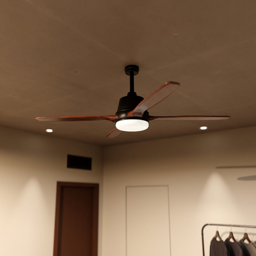 Crowded Homes ~ Arden Ceiling Fan