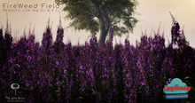  Fireweed Field Animated by Little Branch