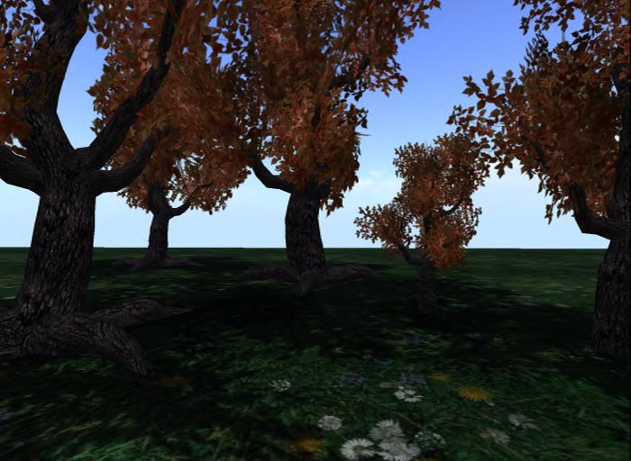 MACS-TREE-6-Autumn Fire