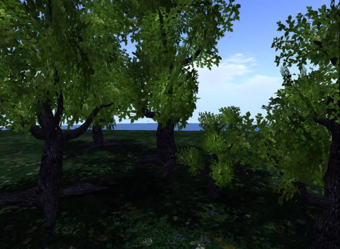 MACS-TREE-6-Cool Shade