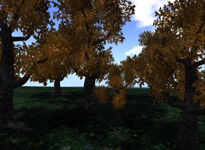 MACS-TREE-6-Late Autumn