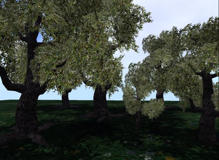 MACS-TREE-6-Late winter