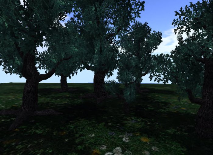 MACS-TREE-6-Midnight