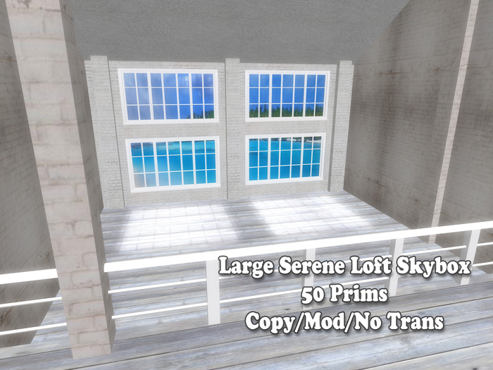 Large Serene Loft Skybox