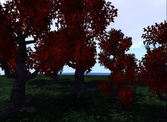 MACS-TREE-6-Red Glory