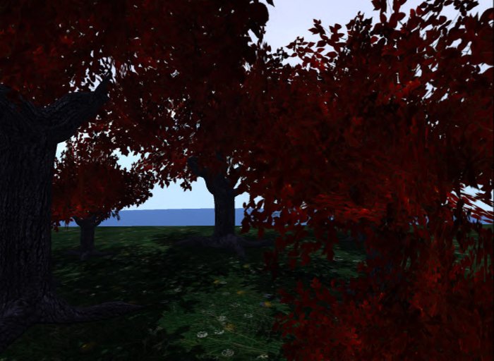 MACS-TREE-5-Red Glory