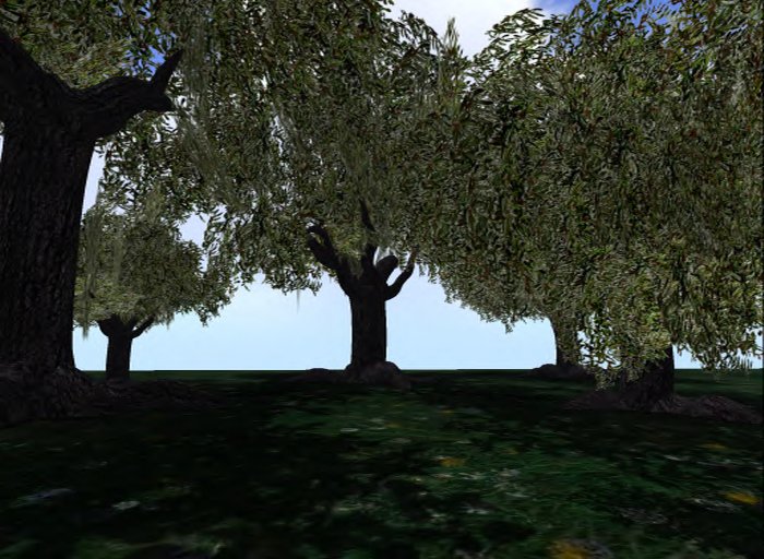 MACS-TREE-5-Late winter