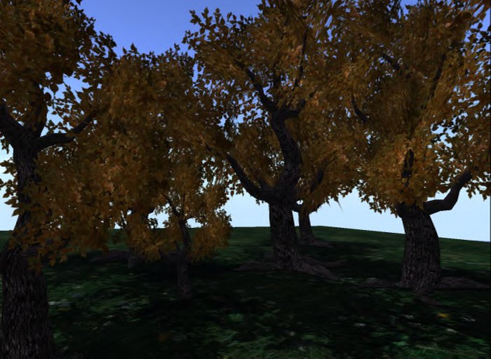 MACS-TREE-5-Late Autumn