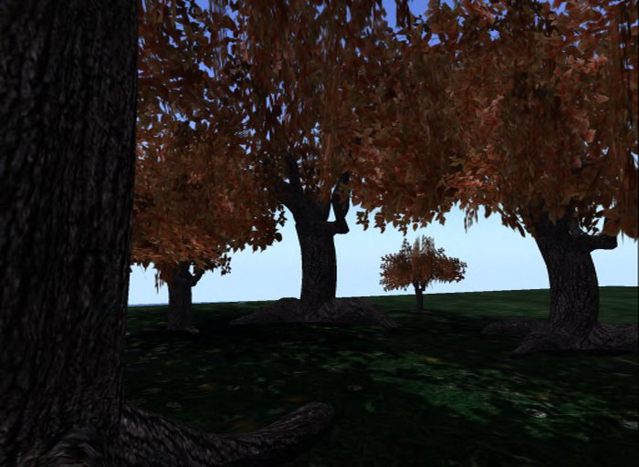 MACS-TREE-5-Autumn Fire