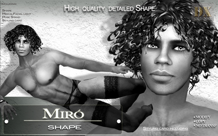 [DX Designs] Miro DEMO Shape (Boxed)