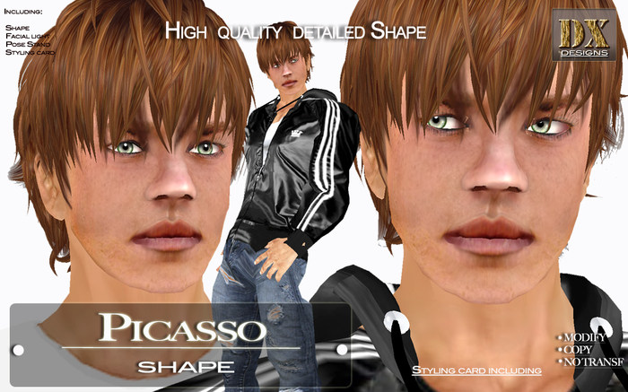 [DX Designs] Picasso DEMO Shape (Boxed)