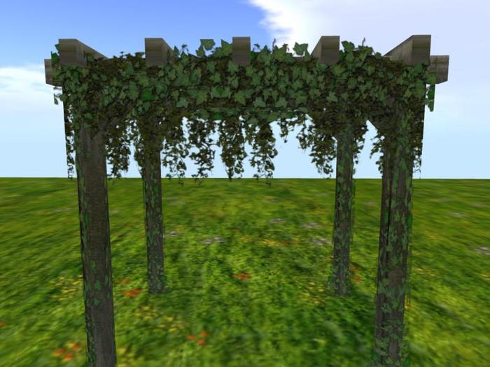 Wooden Arbor with Ivy (One of the items from  my  landscaping and gardening section)
