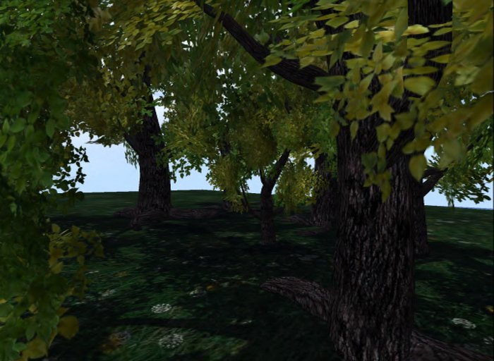 MACS-SUMMER TREE-7