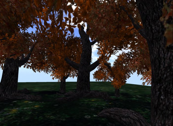MACS-AUTUMN TREE-8