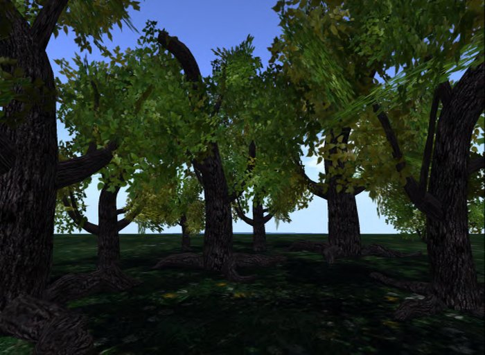 MACS-SUMMER TREE-8
