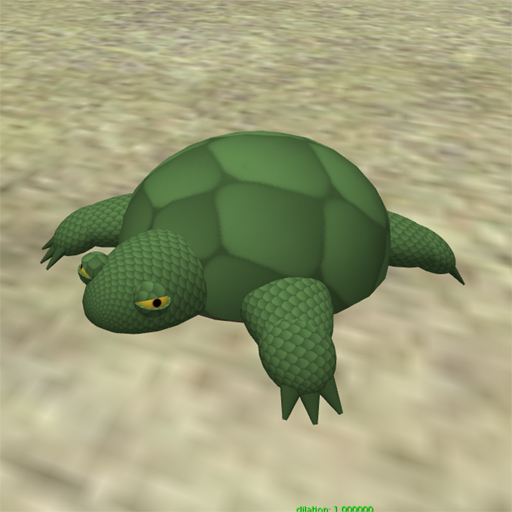 turtle pet full perm