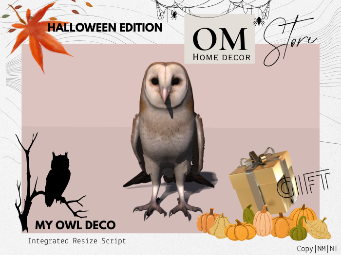 |OM| My Owl Deco - Gift 
