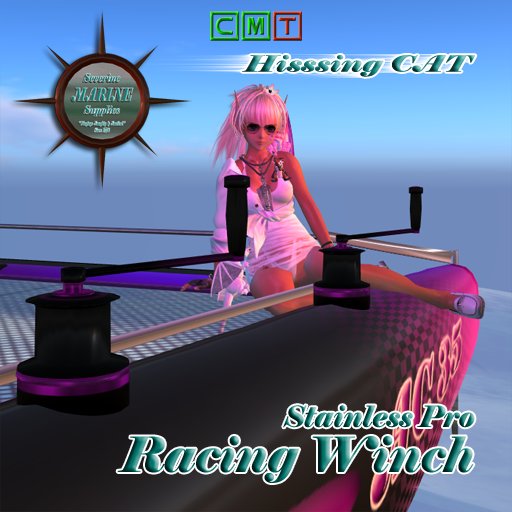 SMS Hissing Cat Stainless Pro Racing Winch Box