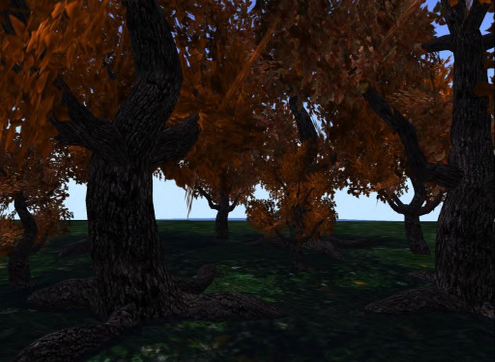MACS-AUTUMN TREE-9
