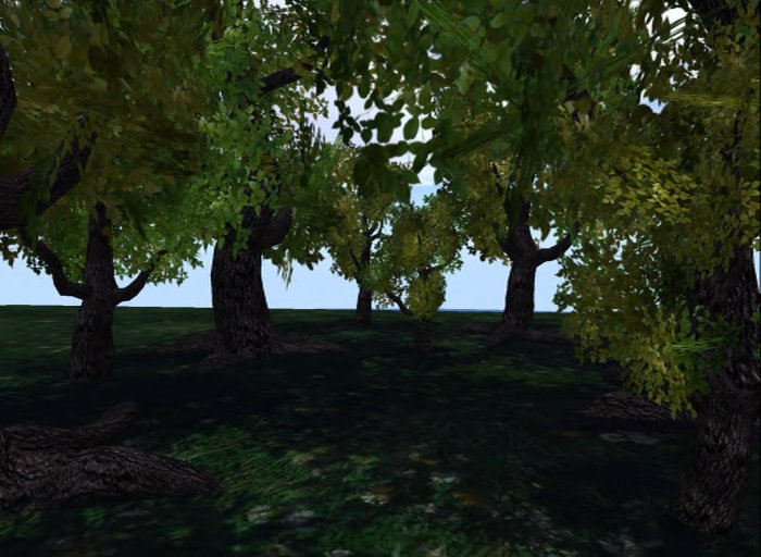 MACS-SUMMER TREE-9