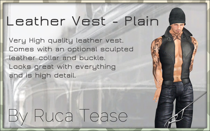Leather Vest - Plain by Ruca Tease -- \(-_-)/ --