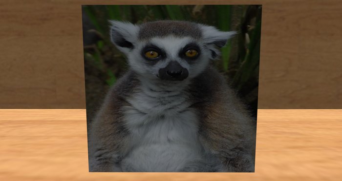 card: LEMUR (HAPPY ANNIVERSARY!)