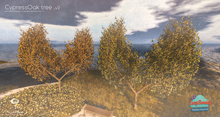LB Cypress Oak v2 Animated 4 Seasons