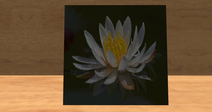 card: LILY (CONGRATULATIONS!)