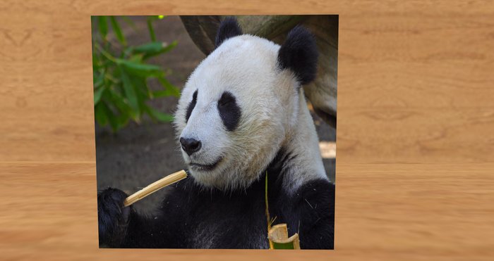 card: PANDA (HAPPY VALENTINE'S DAY!)
