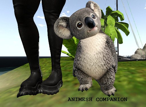 Alfred le Koala