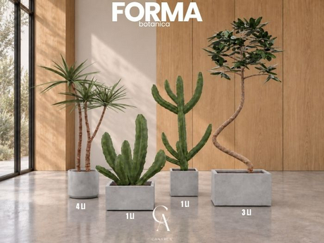 Forma Botanica