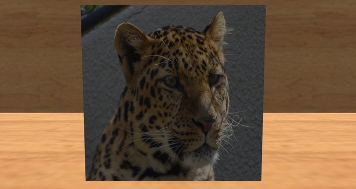 card: leopard (TO MY FAVORITE FURRY, WITH LOVE.)
