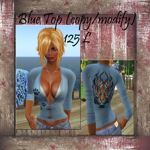 Blue Blouse
