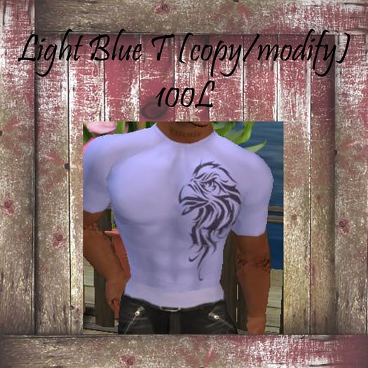 Light Blue T shirt