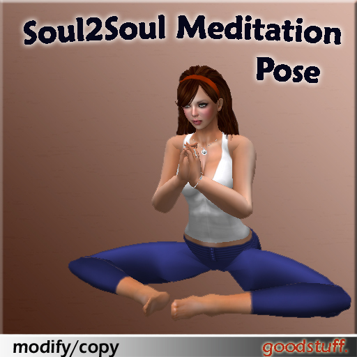 Meditate Soul2Soul Pose by goodstuff.