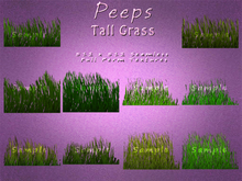 Peeps Textures Tall Grass