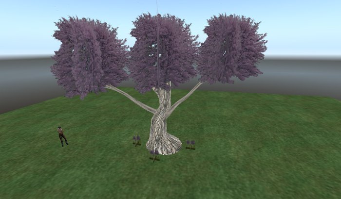 lavender tree